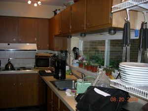 Kitchen 258