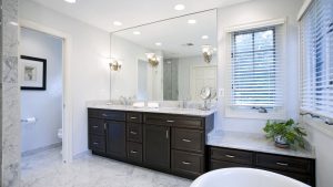 Collins_sinks_wc_491