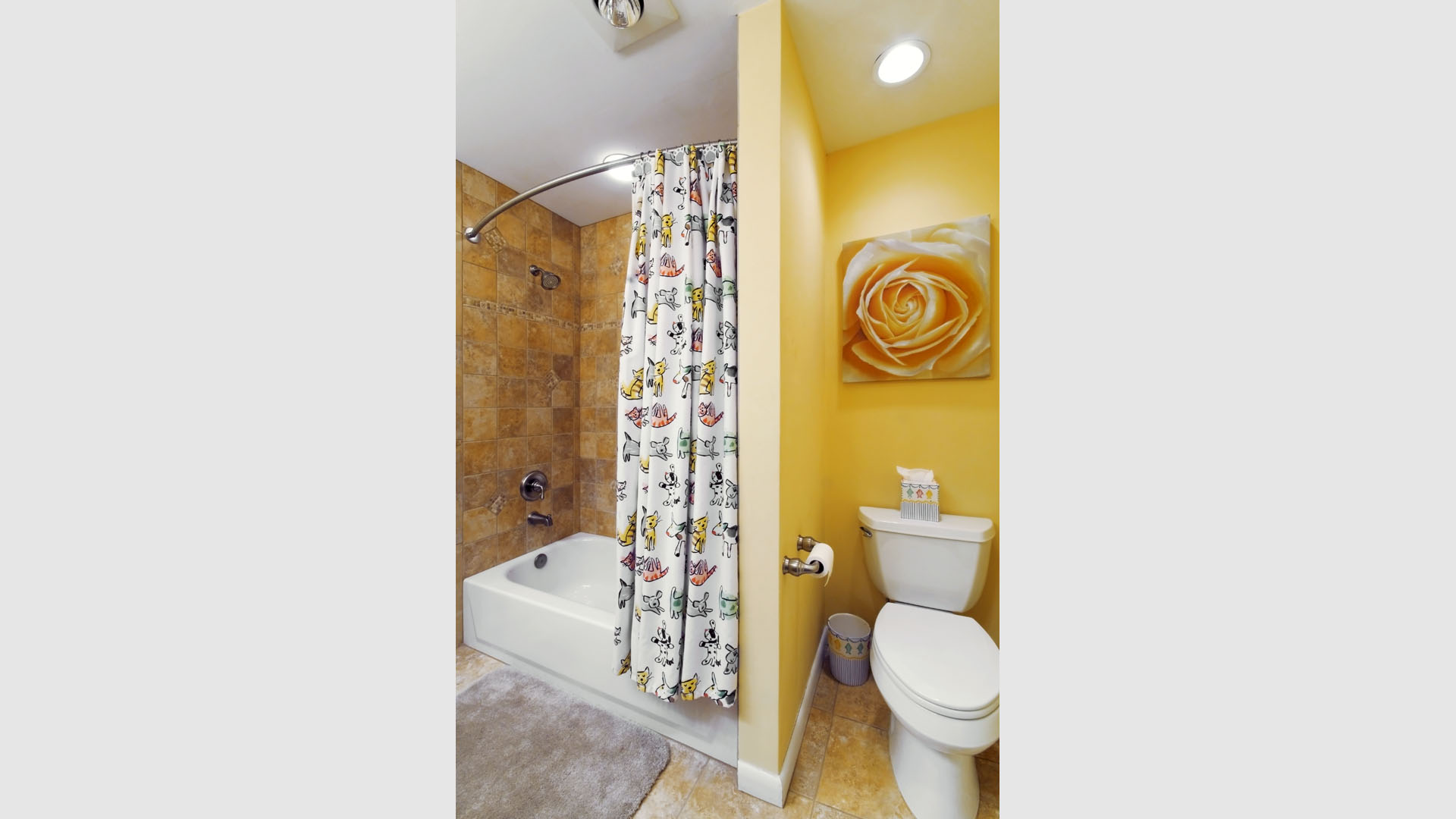 Bath 70 Gallery