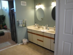 2012 NARI Capital CotY, Merit Award Winner, Residential Bath under $30,000