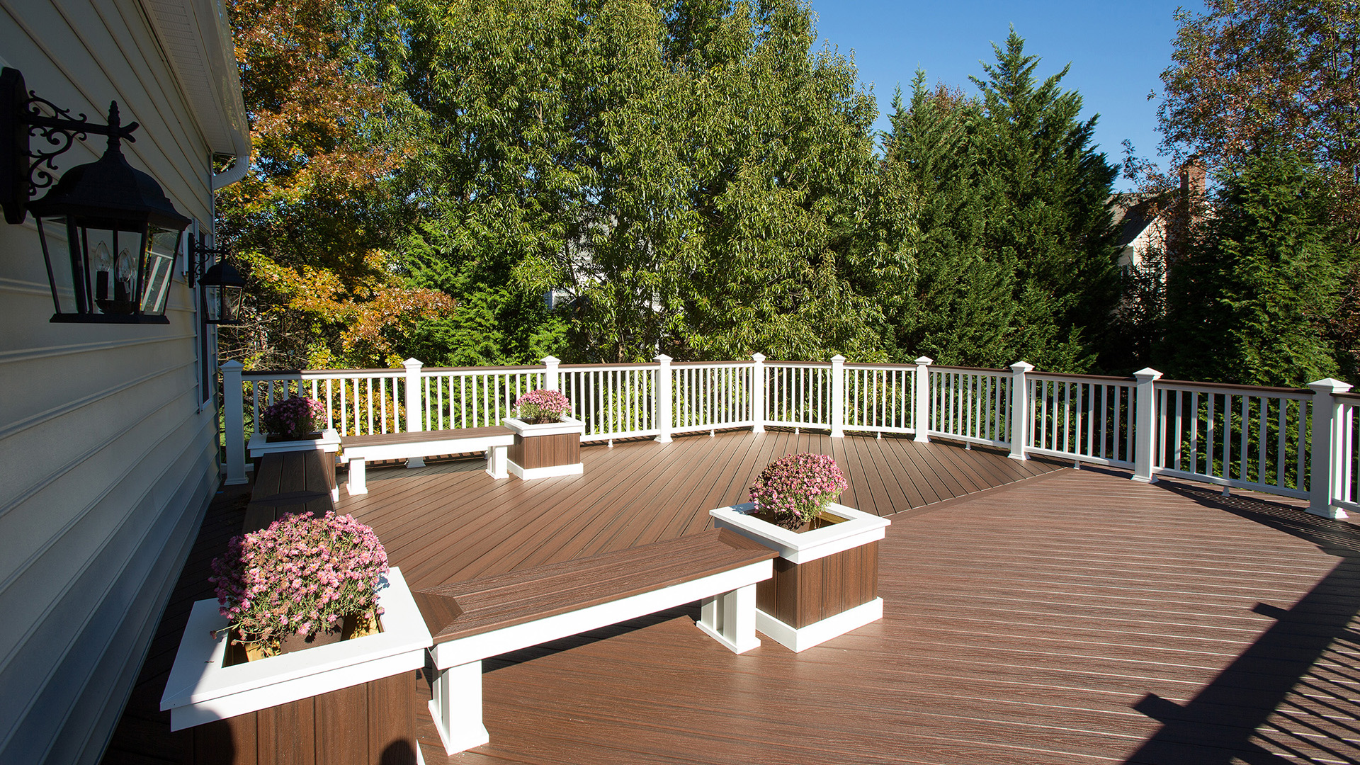 Sarrdana up deck R