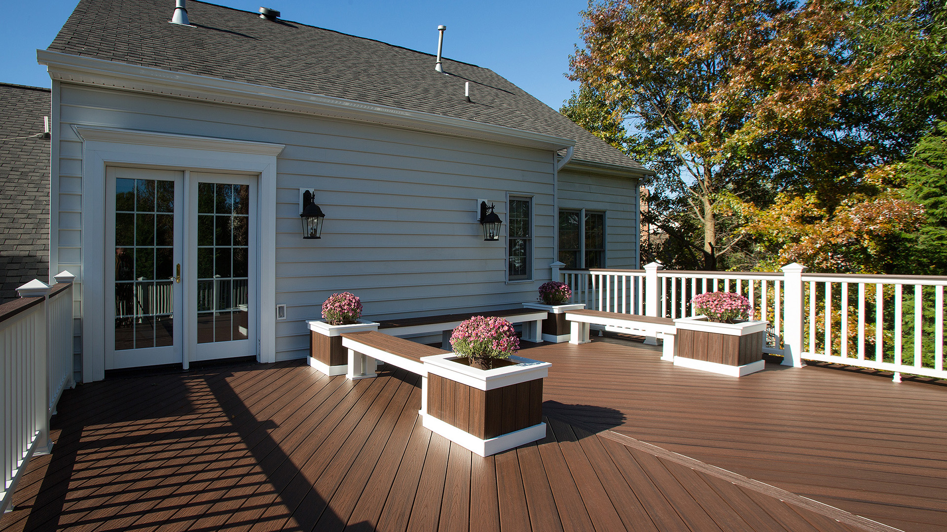 Sarrdana up deck bed