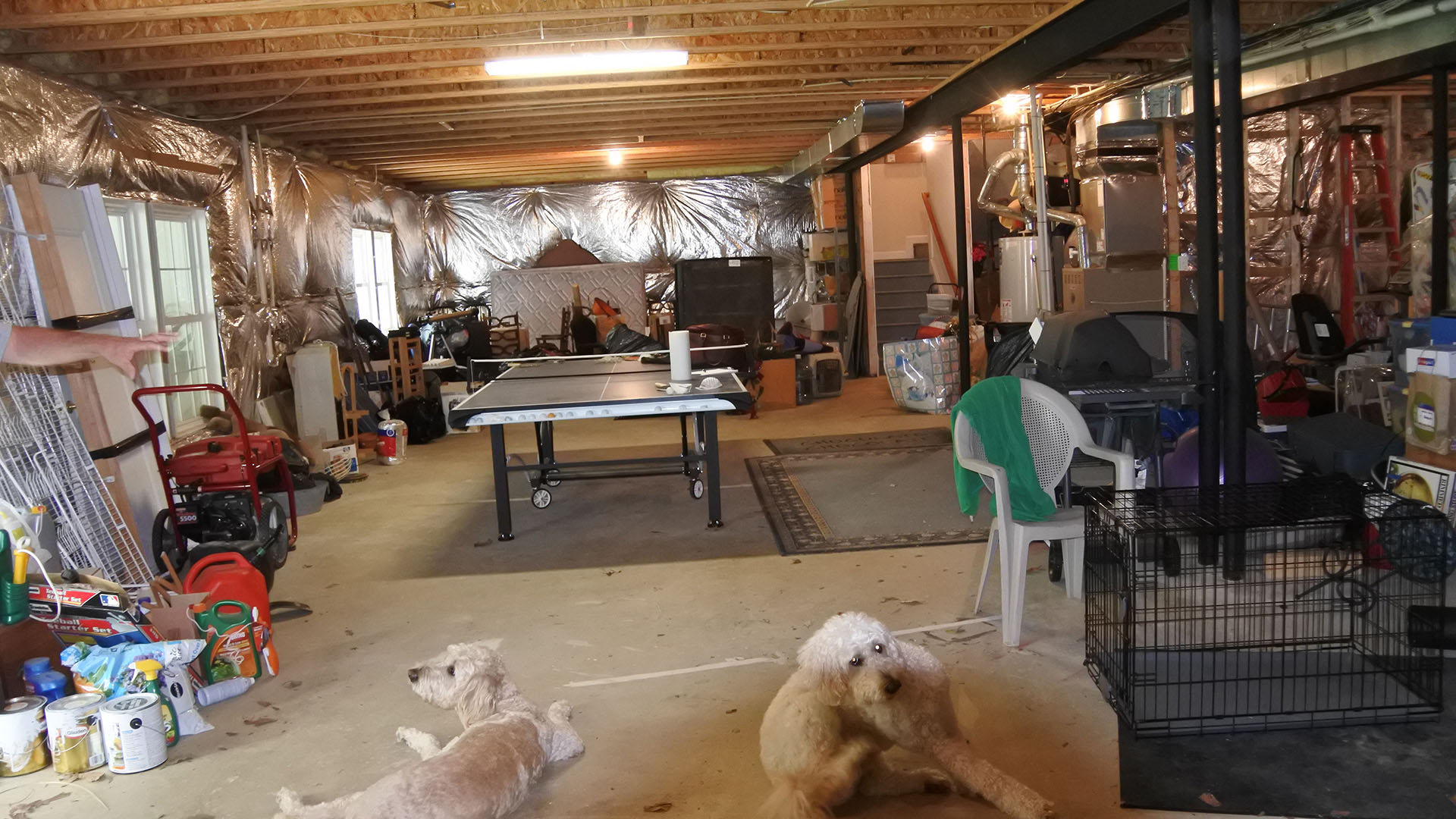 Basement – 2202